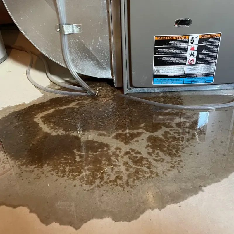 Pipe Burst and Leak Restoration in Maplewood, NJ